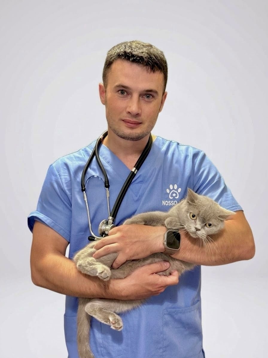 Dr. Ivan Mundir